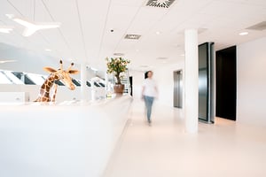 Decos Noordwijk - giraffe collega loopt