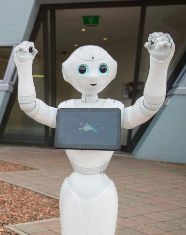 Pepper de Decosrobot